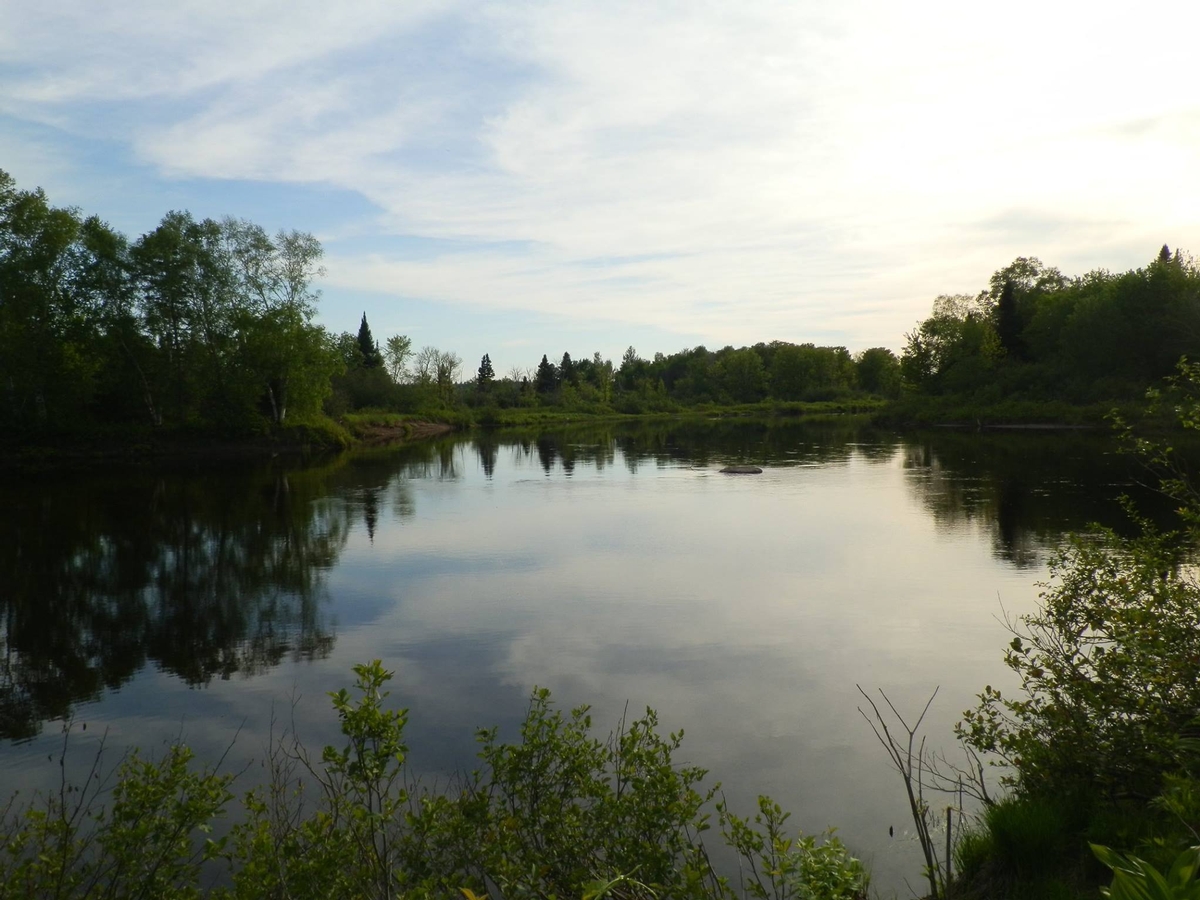 Experience Northern Maine's Natural Beauty Experience Northern Maine's Natural Beauty