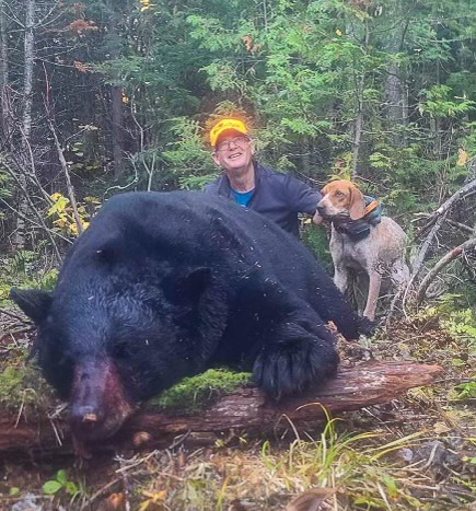 maine bear hunting with bow