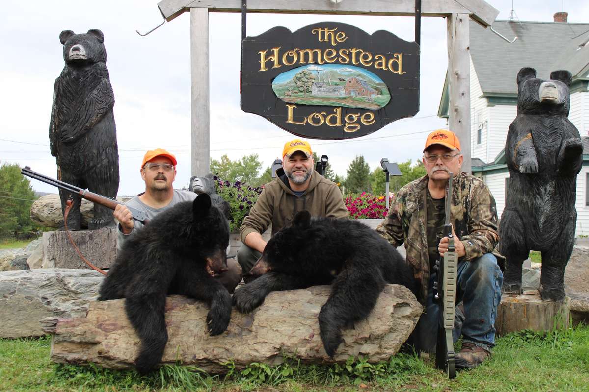 Black Bear Hunting Maine Guide Bear Hunts at Homestead Lodge