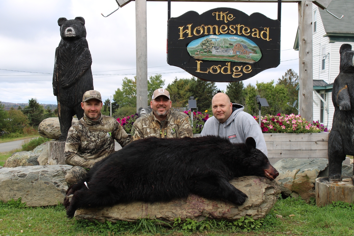 Black Bear Hunting in Maine
