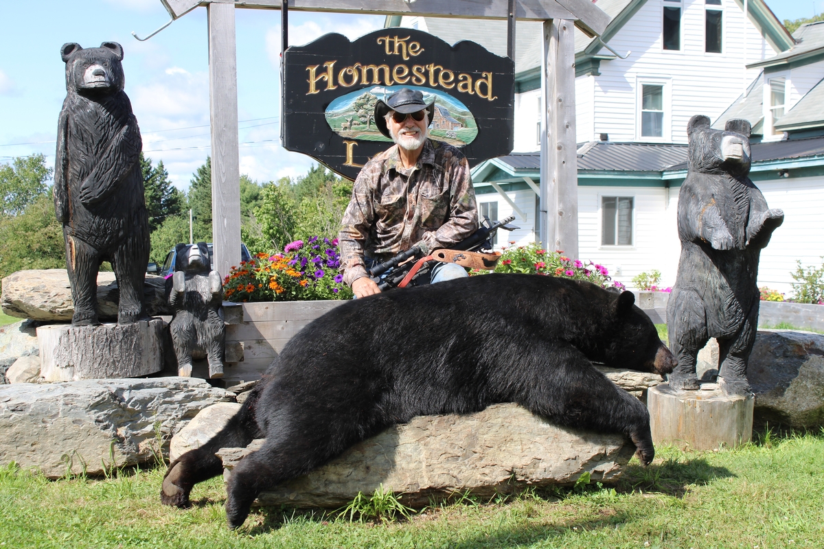 maine bear hunting with bow