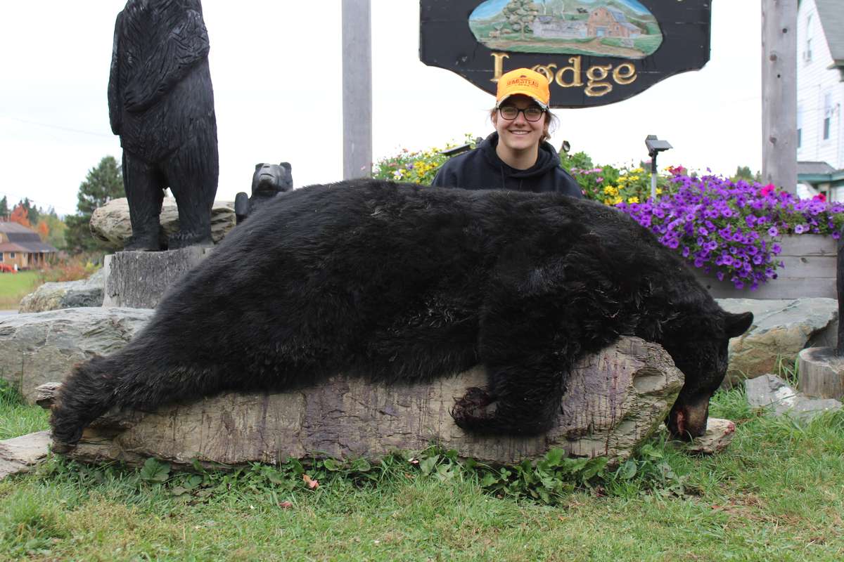 Black Bear Hunting in Maine