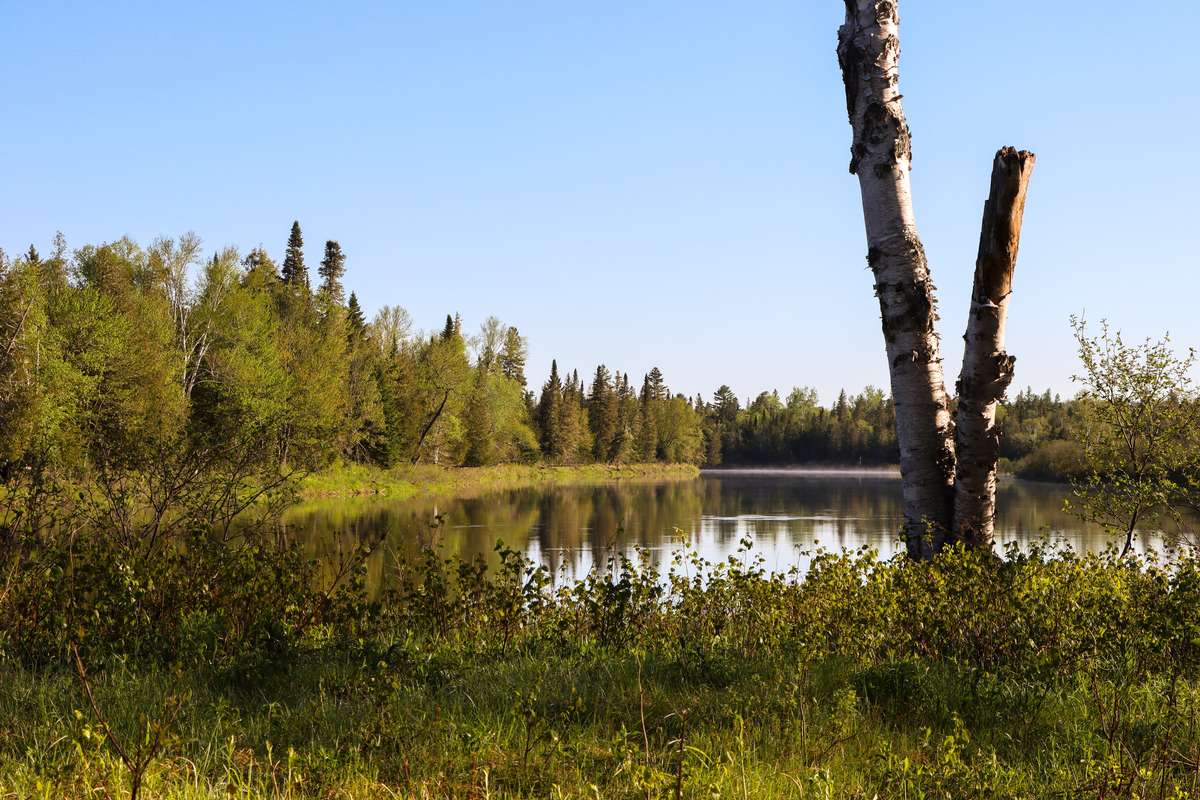 Experience Northern Maine's Natural Beauty